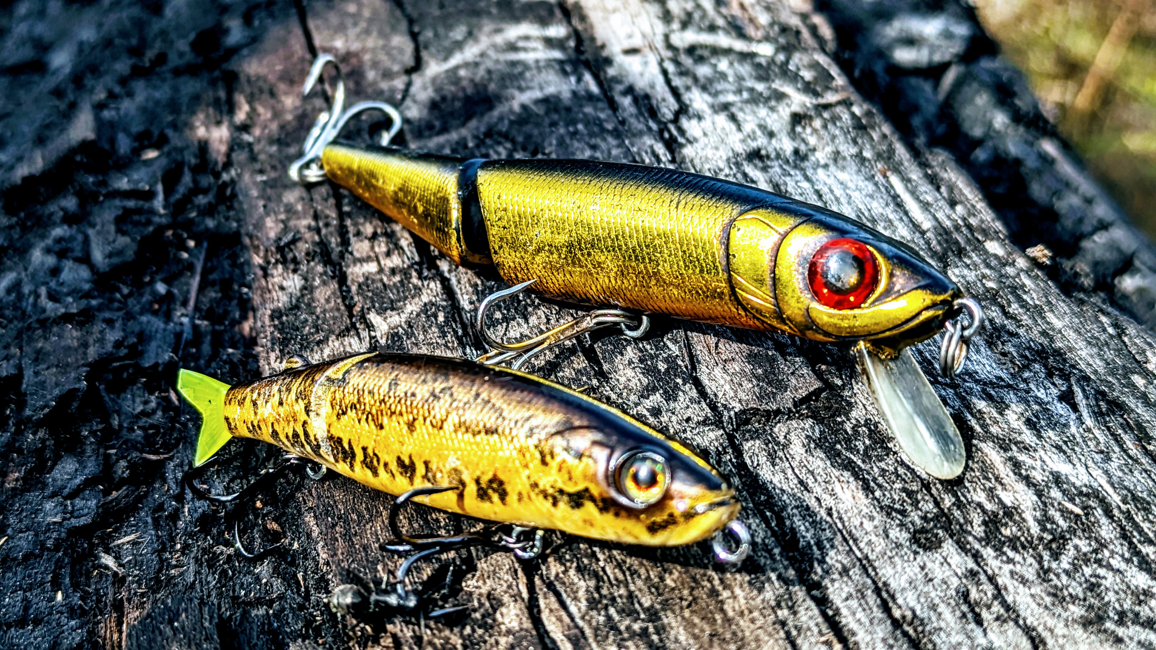 DAIWA SEABASS HUNTER III FJ — SEABASS HUNTER III FJ
