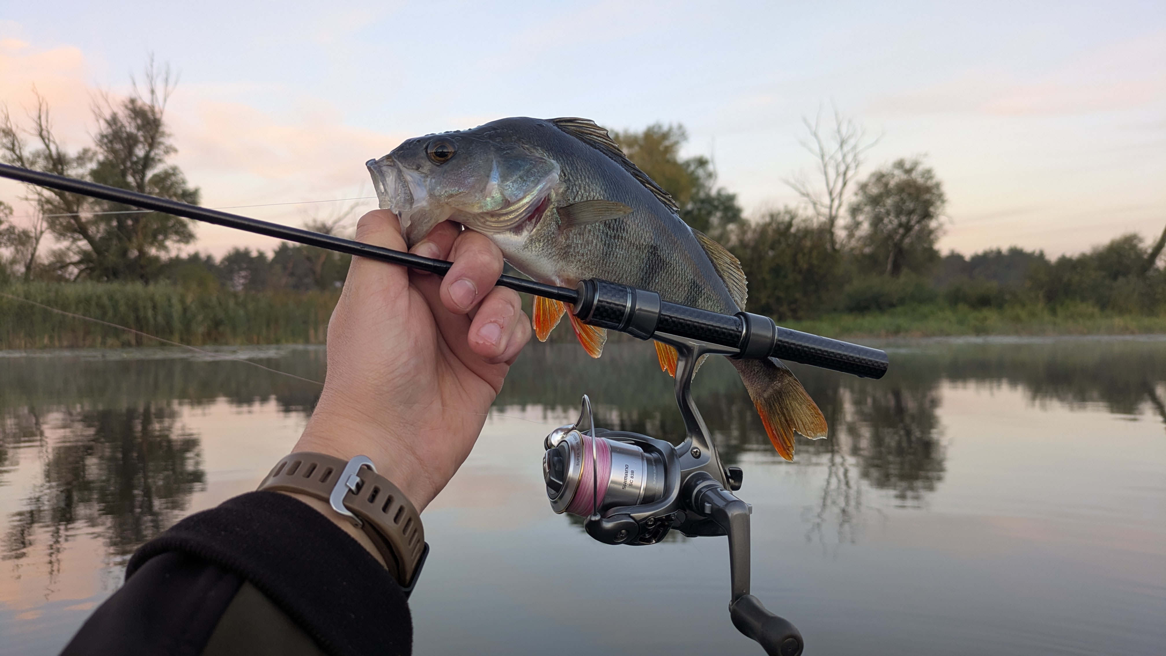 Shimano ’02 TWIN POWER 1000 ВИВІЗ ЩУКУ 1,4 КГ! 🔥 Мікроджиг на Matagi TWJ-602UL