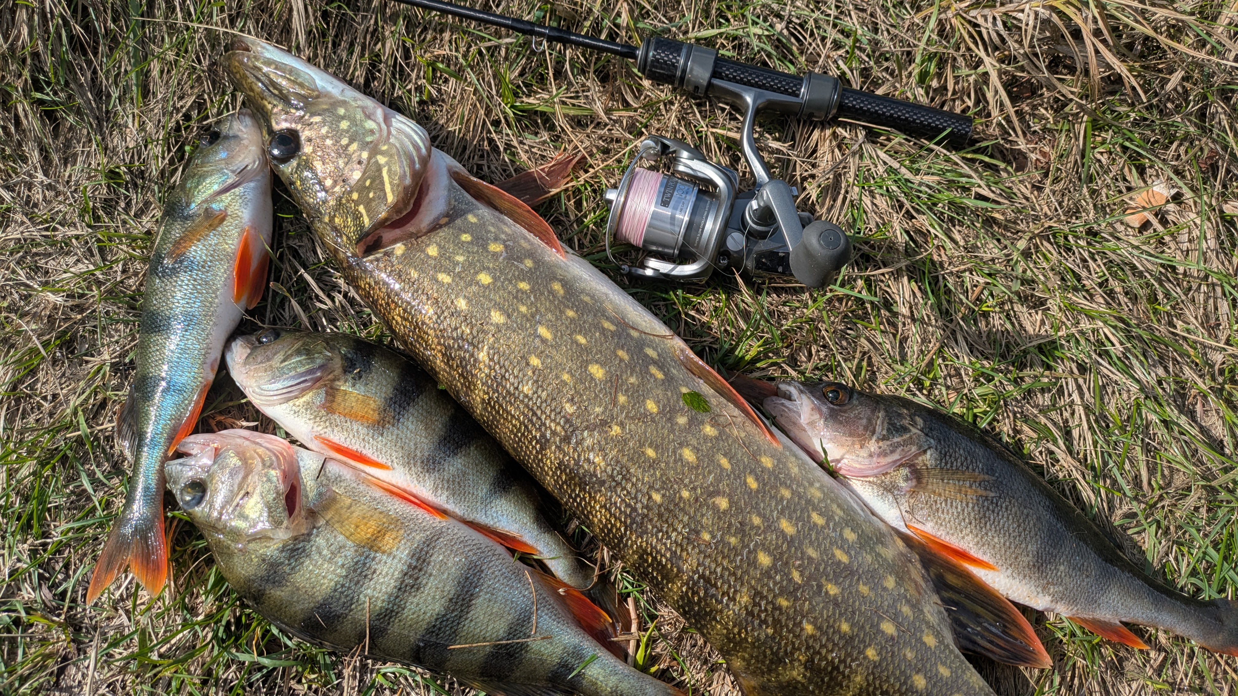 Shimano ’02 TWIN POWER 1000 ВИВІЗ ЩУКУ 1,4 КГ! 🔥 Мікроджиг на Matagi TWJ-602UL