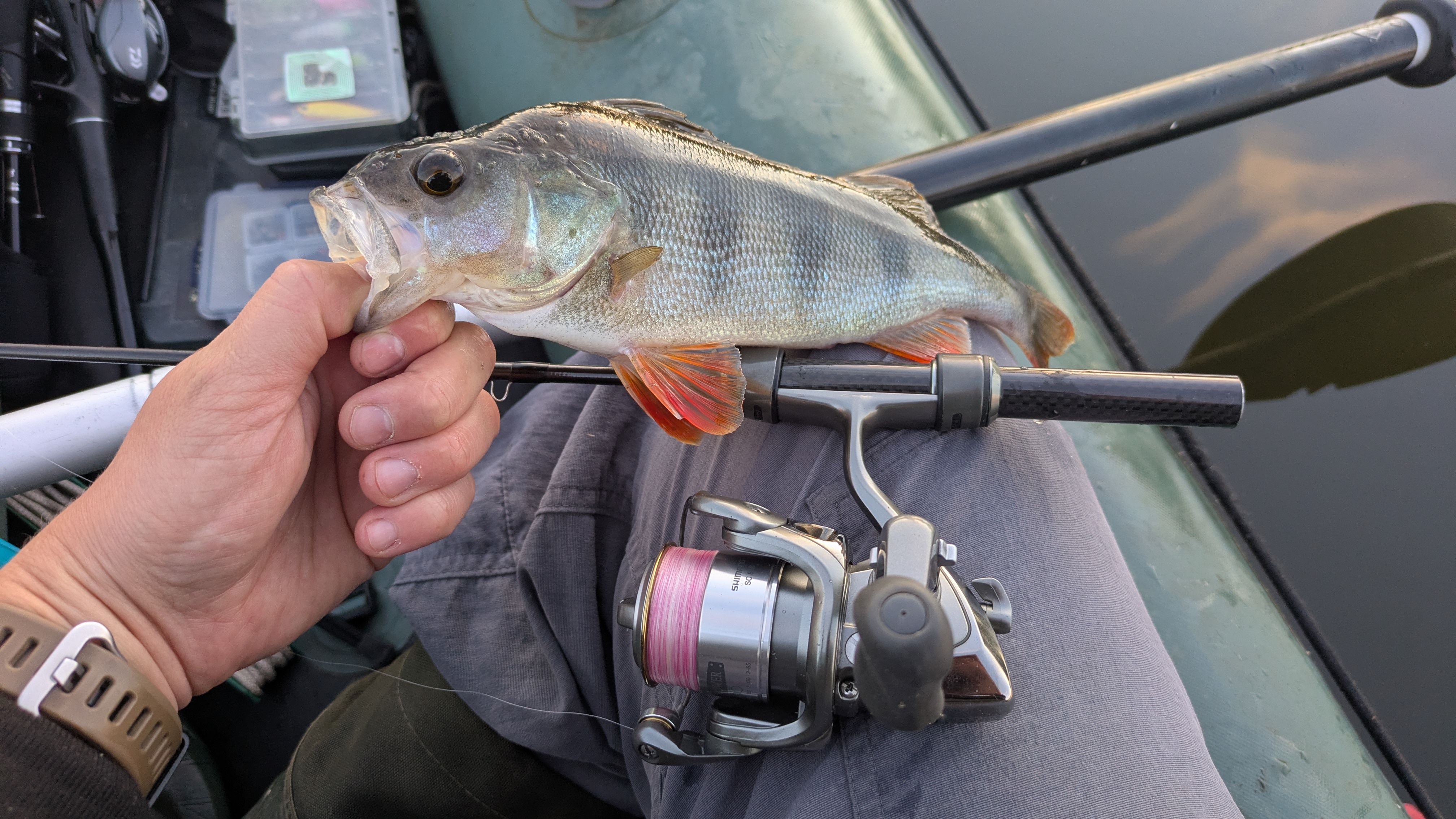 Shimano ’02 TWIN POWER 1000 ВИВІЗ ЩУКУ 1,4 КГ! 🔥 Мікроджиг на Matagi TWJ-602UL
